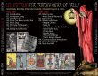 画像2: LED ZEPPELIN / THE PERFORMANCE OF KELLS 【2CD】 (2)