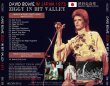 画像2: DAVID BOWIE / ZIGGY IN BIT VALLEY 1973 【1CD】 (2)