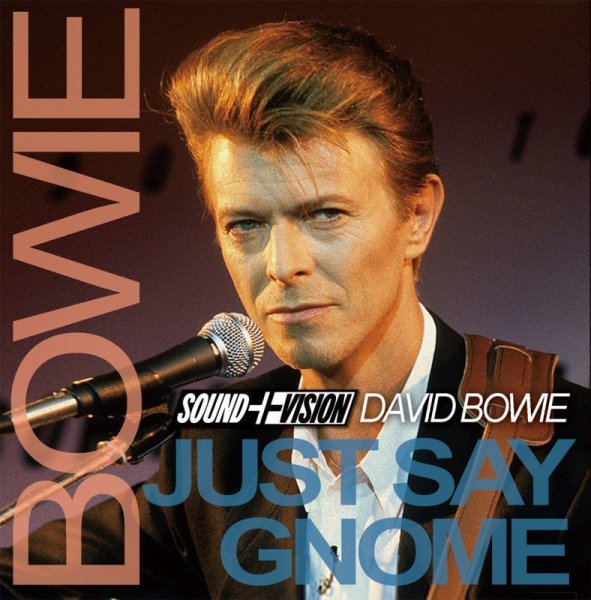 画像1: DAVID BOWIE / JUST SAY GNOME 【2CD】 (1)