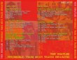 画像2: THE BEATLES / PSYCHEDELIC YEARS MULTI TRACKS SEPARATED 【2CD】 (2)