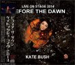 画像1: KATE BUSH / BEFORE THE DAWN 2014 【3CD】 (1)