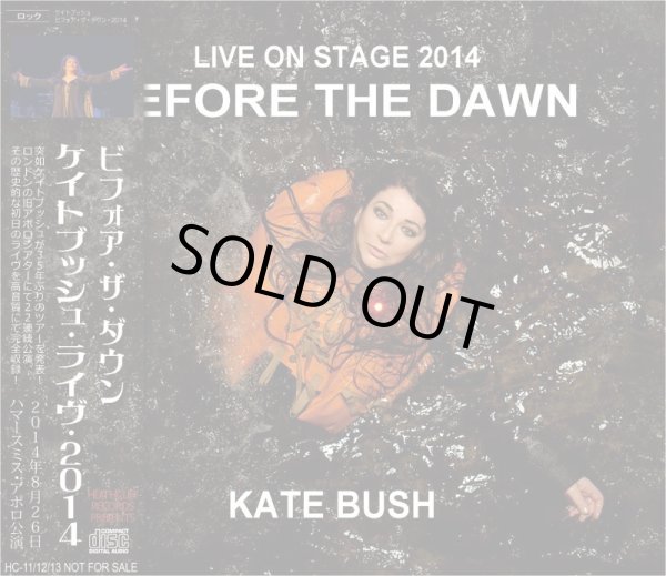 画像1: KATE BUSH / BEFORE THE DAWN 2014 【3CD】 (1)