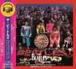 画像1: THE BEATLES / SGT.PEPPER'S LONELY HEARTS CLUB BAND : ROCKBAND MULTITRACK (CD+DVD) (1)